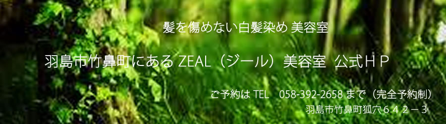 安心安全の白髪染めサロン「ZEAL美容室」