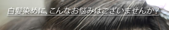 白髪染めにこんな悩みないですか？